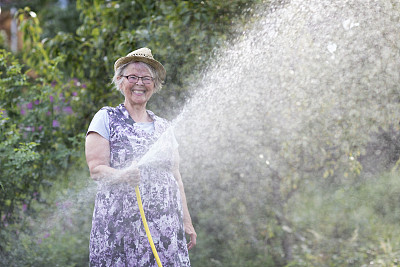 年长妇女有乐趣浇水花园图片下载
