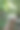 柑橘类果树的农业嫁接图片下载