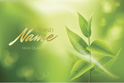 产品目录、杂志、茶叶品牌广告海报。图片下载