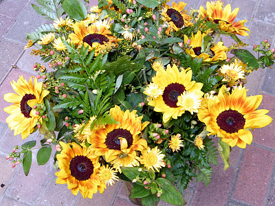 或者叶胡达2010年的向日葵花束图片下载