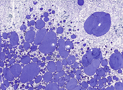 抽象手绘背景色素材图片