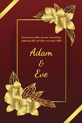 布袋兰卡片手工绘制图片下载