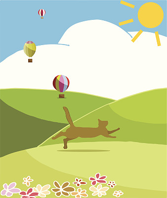 快乐的猫在阳光明媚的日子里跑到山上图片下载