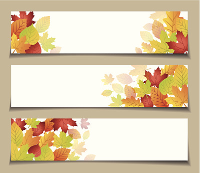 秋拍横幅图片下载