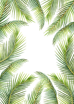 叶子插画素材ID：169002766