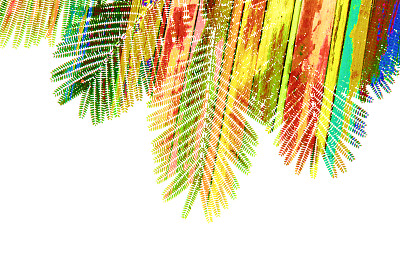 幻想留下多彩的背景图片下载