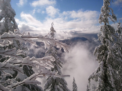 冬天的视图图片下载