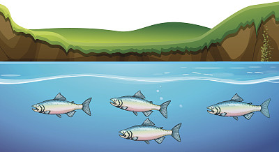 河底有鱼的场景素材图片