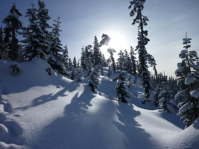 早上雪图片下载