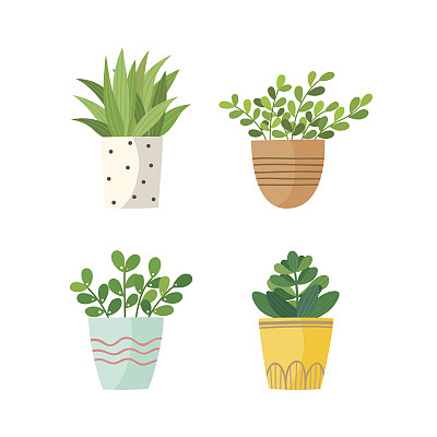 一套温室盆栽植物素材图片