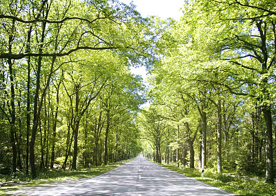 夏天自由笔直的乡村公路图片下载