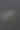 石膏白色的小花在黑色的石头背景与复制空间图片下载