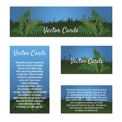 一套四张带有自然装饰的名片图片下载