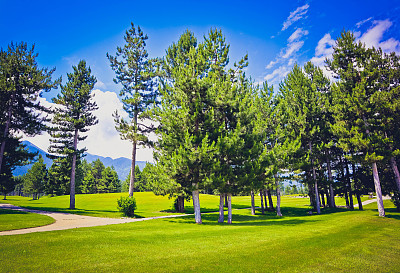 照片描绘了美丽多彩的山地草地景观，修剪过的草坪，云杉冷杉树，夏日。图片下载