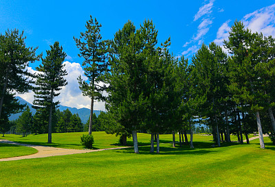 照片描绘了美丽多彩的山地草地景观，修剪过的草坪，云杉冷杉树，夏日。图片下载