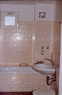 新的浴室,1979图片下载