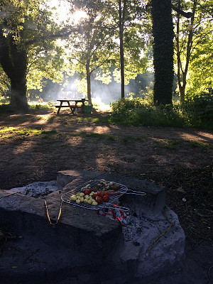 在公共花园烧烤图片下载