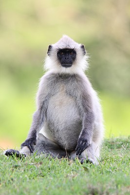 我看见你了图片下载