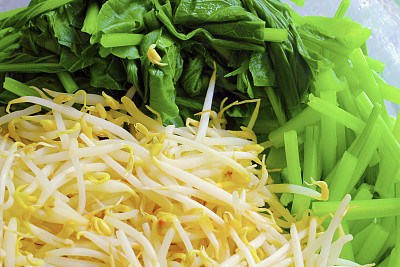 绿色蔬菜和芽图片下载