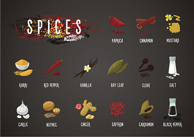 香料和调味料。烹饪原料。烹饪集合。孤立的图标集图片下载