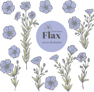 亚麻集图片下载