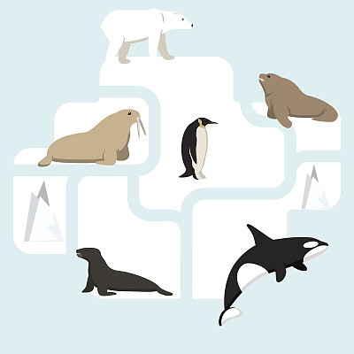 南极的动物图片下载