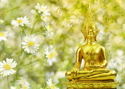 佛教雕像，鲜花和阳光的田野在早晨图片下载