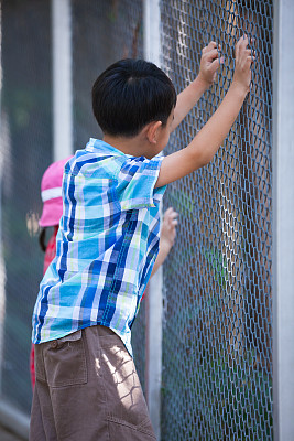 在动物园里抓网眼笼子的孩子们。旅游度假。图片下载