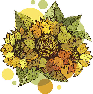 向日葵素材图片