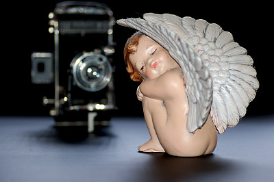 天使与相机图片下载