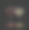 花瓣和杯子图片下载