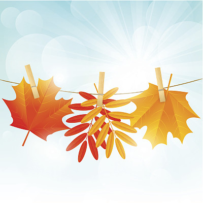 秋色的树叶在阳光灿烂的背景上图片下载