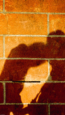 在地板上的阳光下，情侣亲吻的影子图片下载