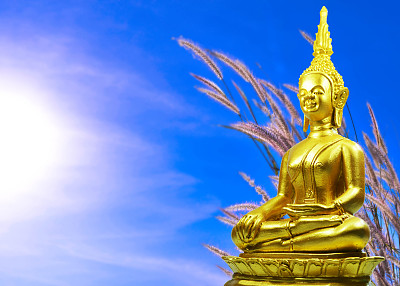 佛像，草地和早晨的太阳图片下载