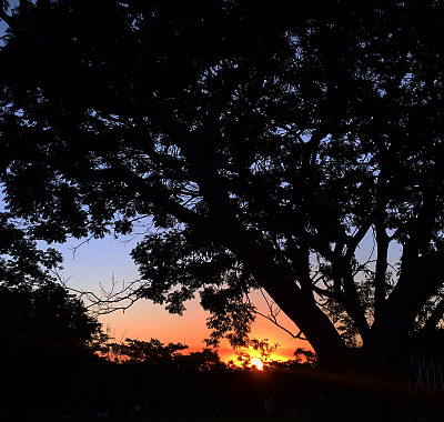 亚松森的日落图片下载