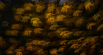 美丽的背景与不同颜色的大象，抽象的背景图片下载