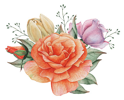 手绘水彩迷人的花和叶的组合，孤立在白色的背景素材图片