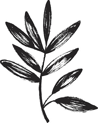 矢量手绘植物设计元素。图片下载