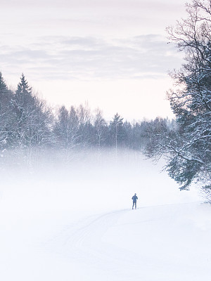 唯一的滑雪图片下载