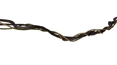 扭曲的野生藤本丛林藤本植物孤立的白色背景，修剪路径包括。素材图片