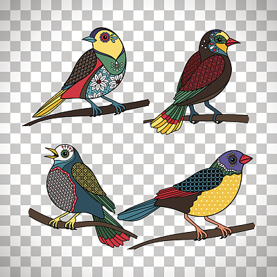 有花卉图案的彩色鸟图片下载