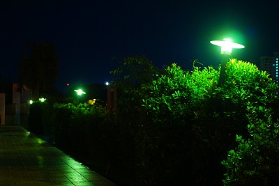 树街灯图片下载