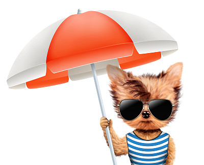 穿着t恤戴着太阳镜撑着伞的动物图片下载