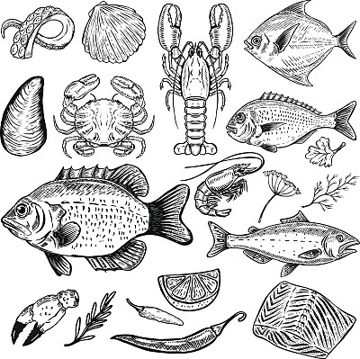 一套手绘海鲜插图孤立在白色背景。鱼、蟹、龙虾、牡蛎、虾。香料。设计元素的菜单，海报。矢量图图片下载