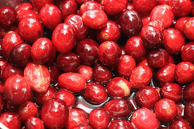 自制蔓越莓酱图片下载