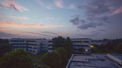 薰衣草日落图片下载