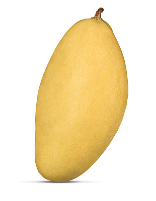 芒果果实孤立在白色的背景图片下载