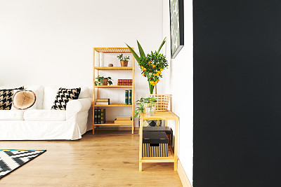 黑色墙壁的客厅图片下载