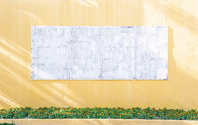 橙色墙和彩色花的白板图片下载