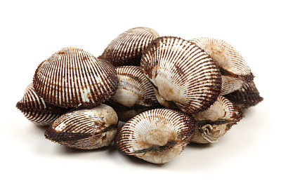 白色背景上的甲壳。图片下载